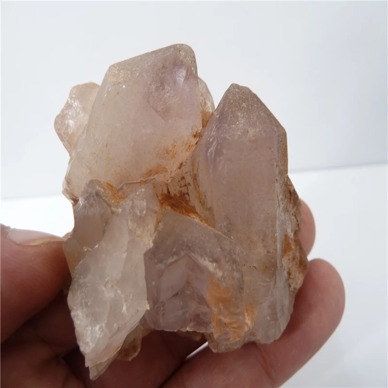 P1500581