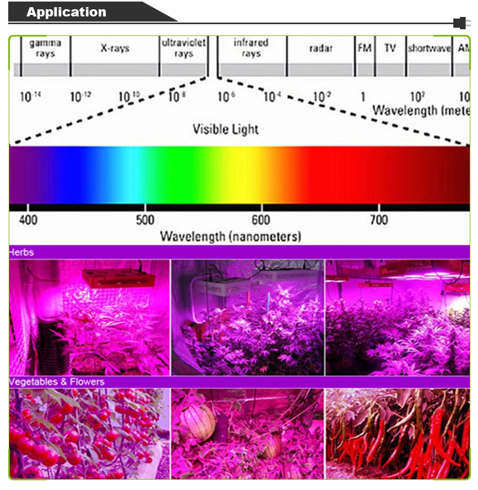 Светодиодная лампа для выращивания COB чип полный спектр 10 Вт 20 Вт 30 Вт 50 Вт Красный 640нм синий 460нм светодиодный светильник для выращивания led чип для выращивания растений