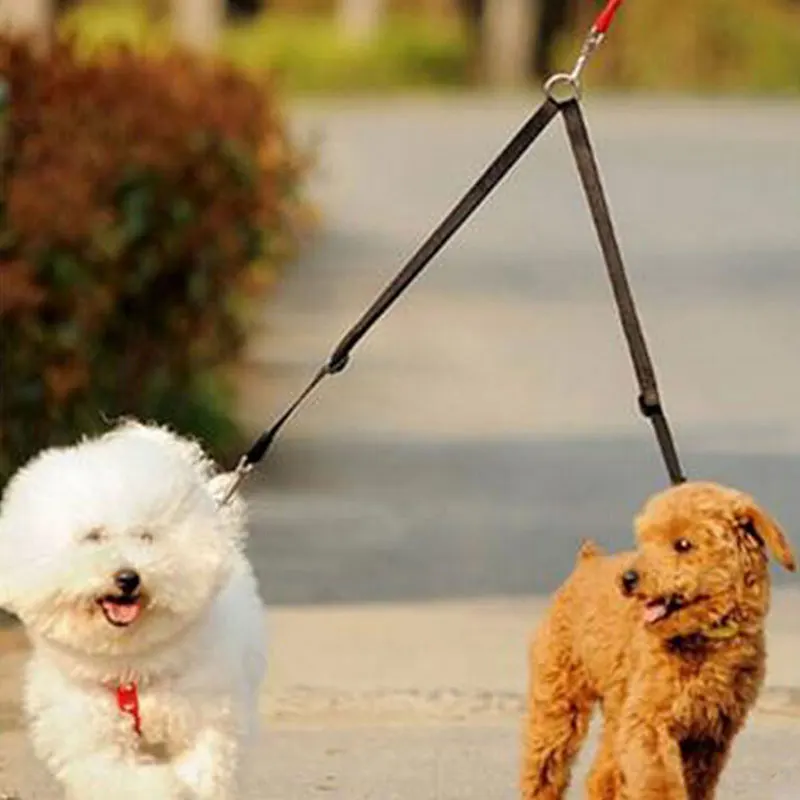Double dogs coupons