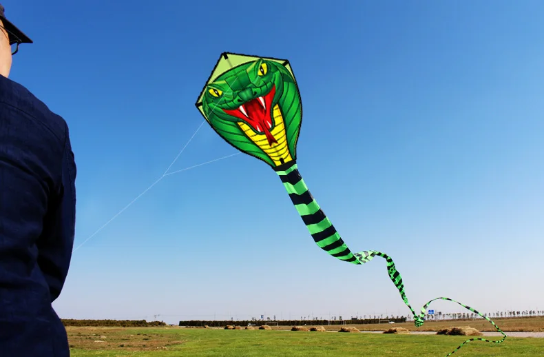 Snake Kite for Kids And Adults Come With String And Handle