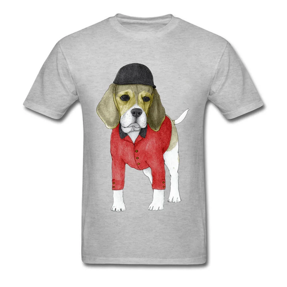 Beagle_grey