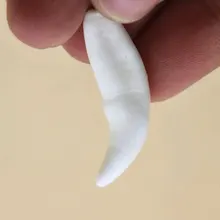 TBP5849 настоящее животное клыки Отбеленный Белый Клык амулет для человека 49-50 мм тибетские клыки амулет от собака мастифф бивни