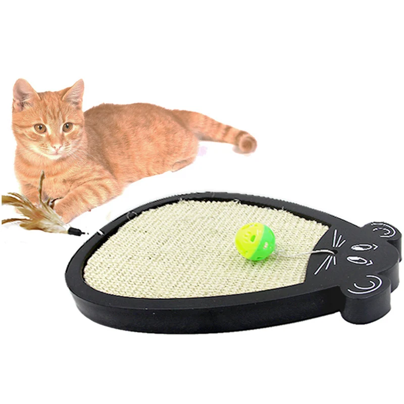 4260455051_1662019527