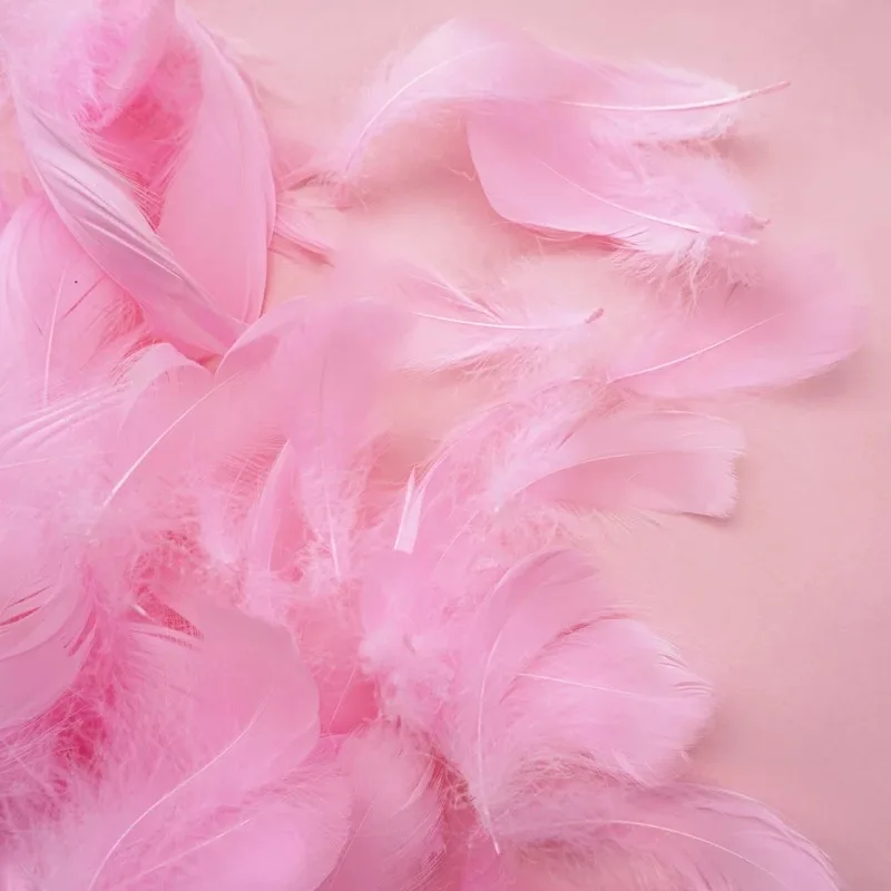 100 шт, натуральные гусиные перья 8-12 см, цветные перья лебедя, шлейф для домашнего украшения, рукоделие, украшение для ювелирных изделий - Цвет: Pink