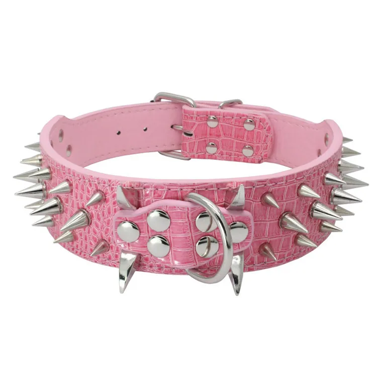 Dog Collars (8)