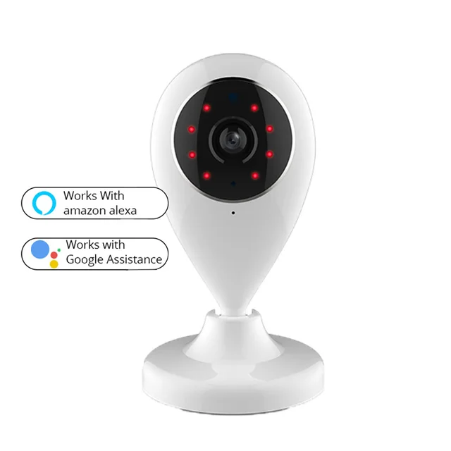 wifi camera compatible with google home