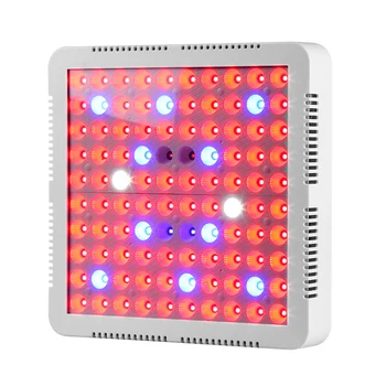 

High quality Phyto Lamp 300W Led Grow Lights Panel Led plant lamps for indoor Greenhouse hydroponic systems grow tent