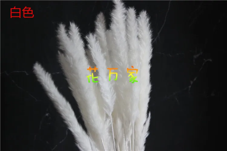 Натуральные Сушеные Pampas Grass Phragmites comris Reed Plant свадебные цветы 30 шт./лот товары для