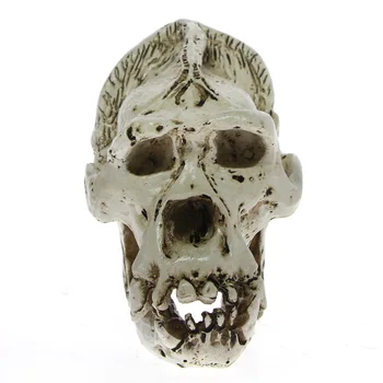

Ancient Halloween Skull Home Desk Decor Gift People Skull Skeleton Figurine Resin Vintage Statue Brain