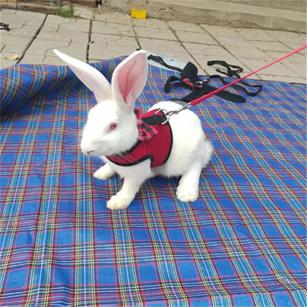 

S M L Size Mesh Small Pet Harness With Leash Set Breathable Rabbits Bunny Ferret Guinea Pig Small Animal Outdoor Vest Strap Lead