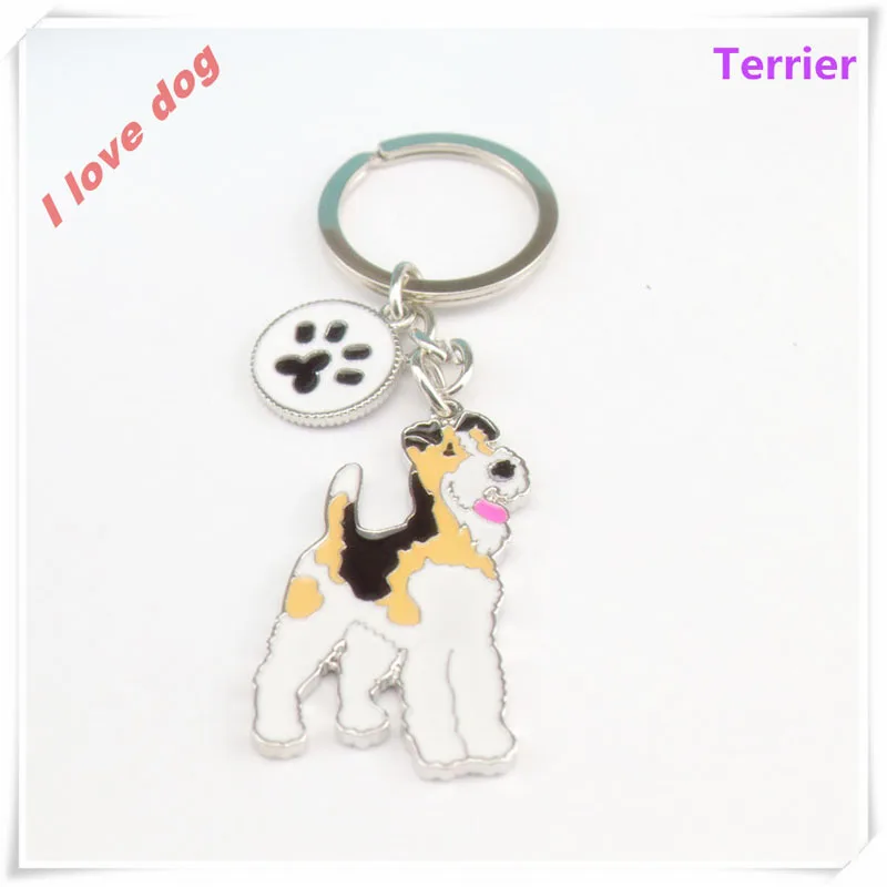 HTB1WZJxJVXXXXXgXpXXq6xXFXXX5