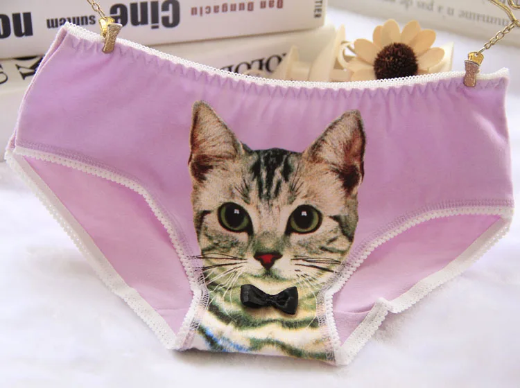 Girls Cat Panties Kids Cotton Underwear Teenage Panties For 12-20Y Casual Children Underwear Female Brief Culotte Femme