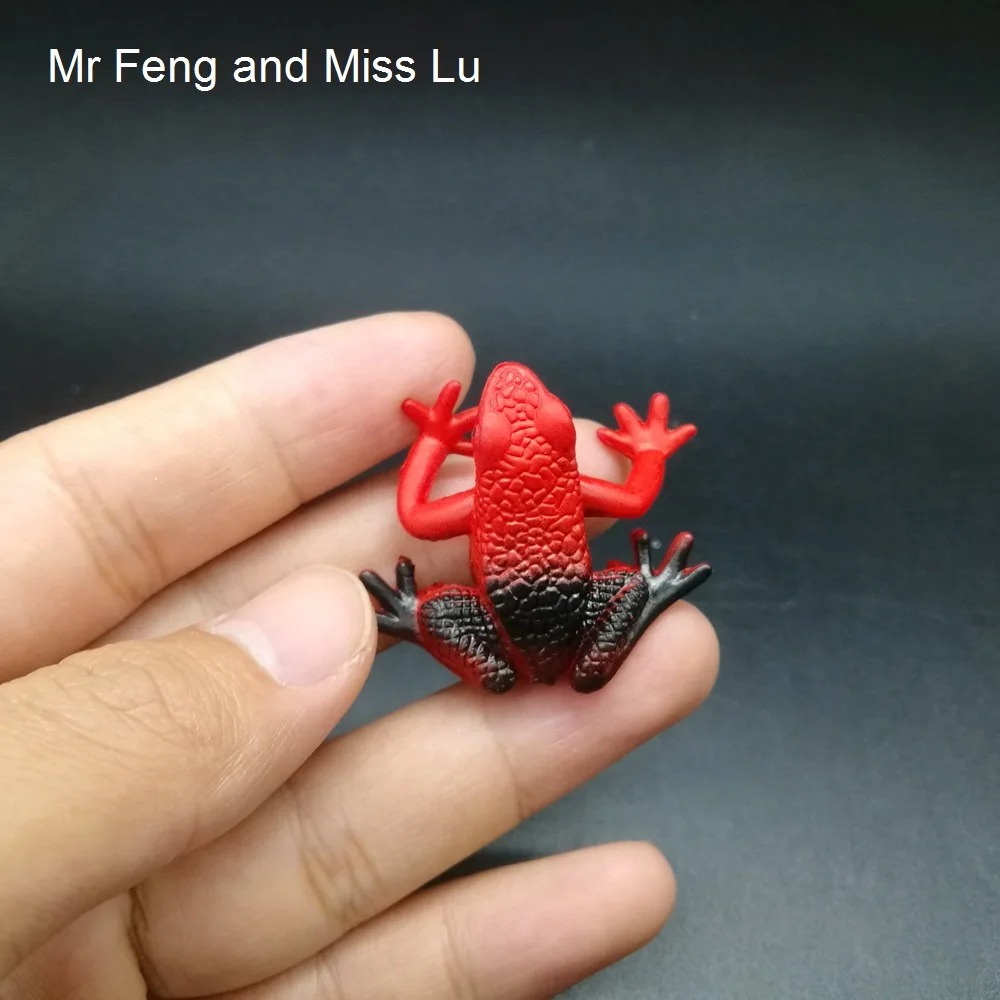 

Red Frog Insert Practical Gags Toys Science Animals Nature Model Game