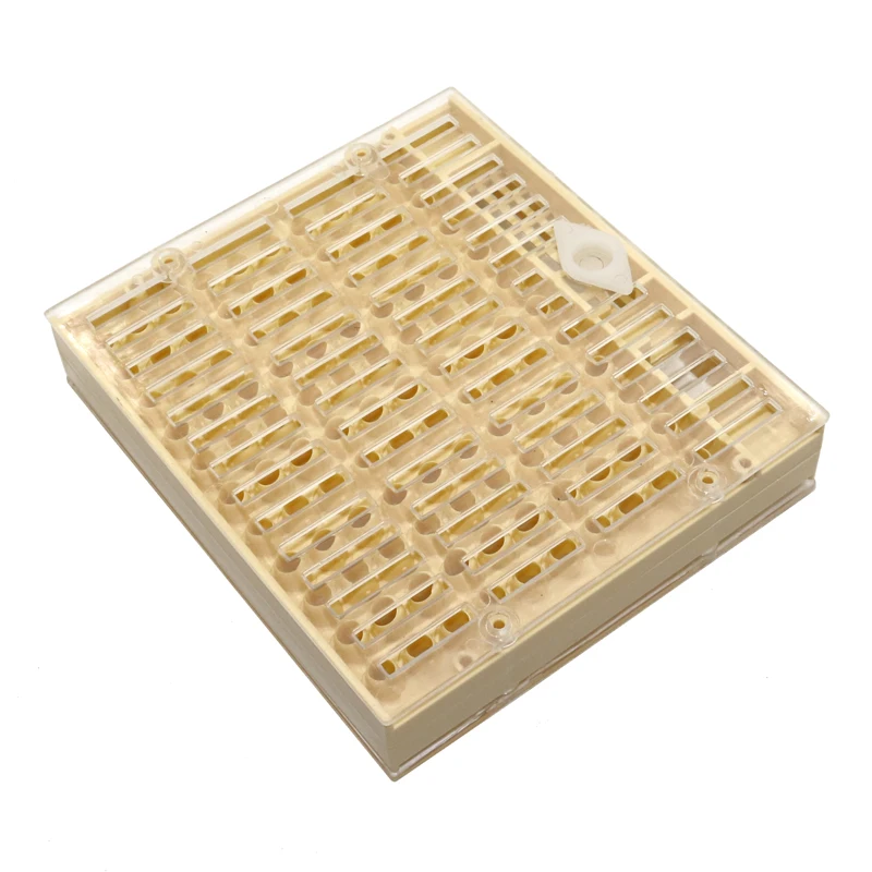cherrypop 50PCS Bee Queen Cages Plastic Protective Cover Cage Cell Box Cup Rearing Bees King Tools Beekeeping Set Beekeeping cherrypop 50PCS Bee Queen Cages Plastic Protective Cover Cage Cell Box Cup Rearing Bees King Tools Beekeeping Set Beekeeping