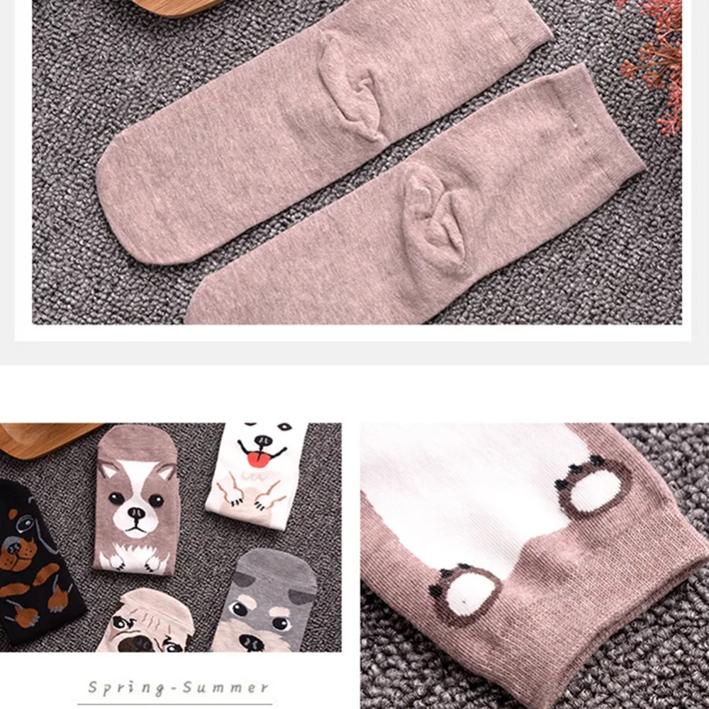 BI00086  (2)