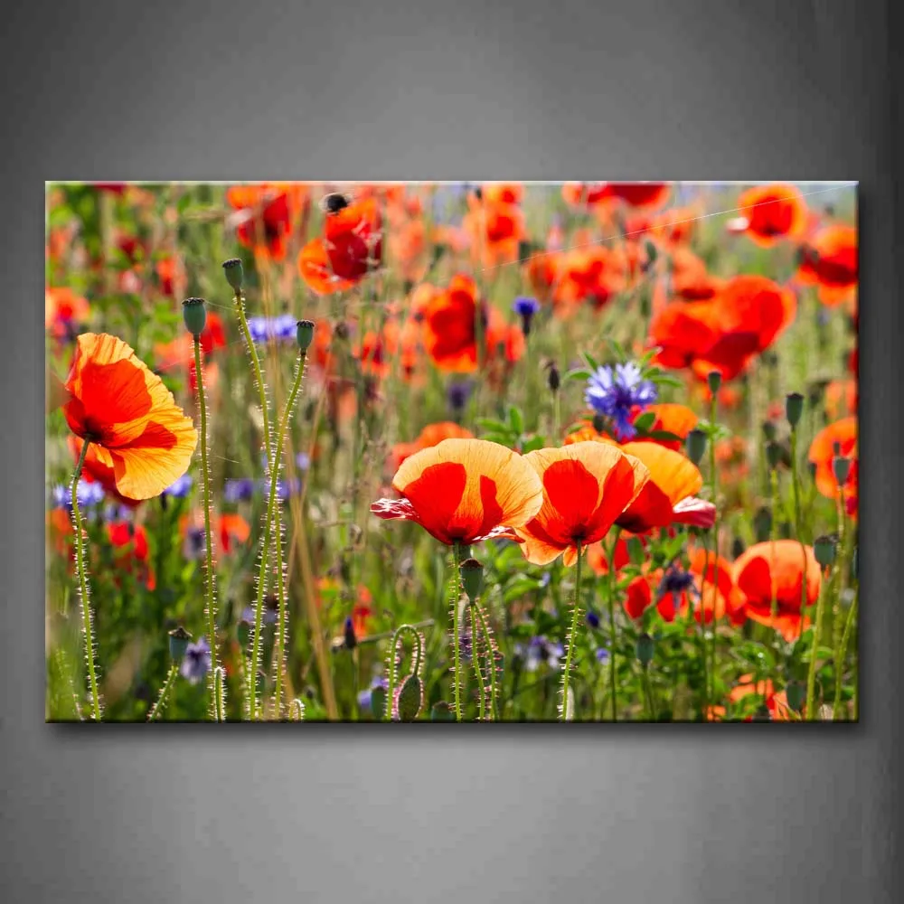

Unframed Wall Art Pictures Red Purple Flowers Canvas Print Flower Posters No Frames For Living Room Home Office Decor