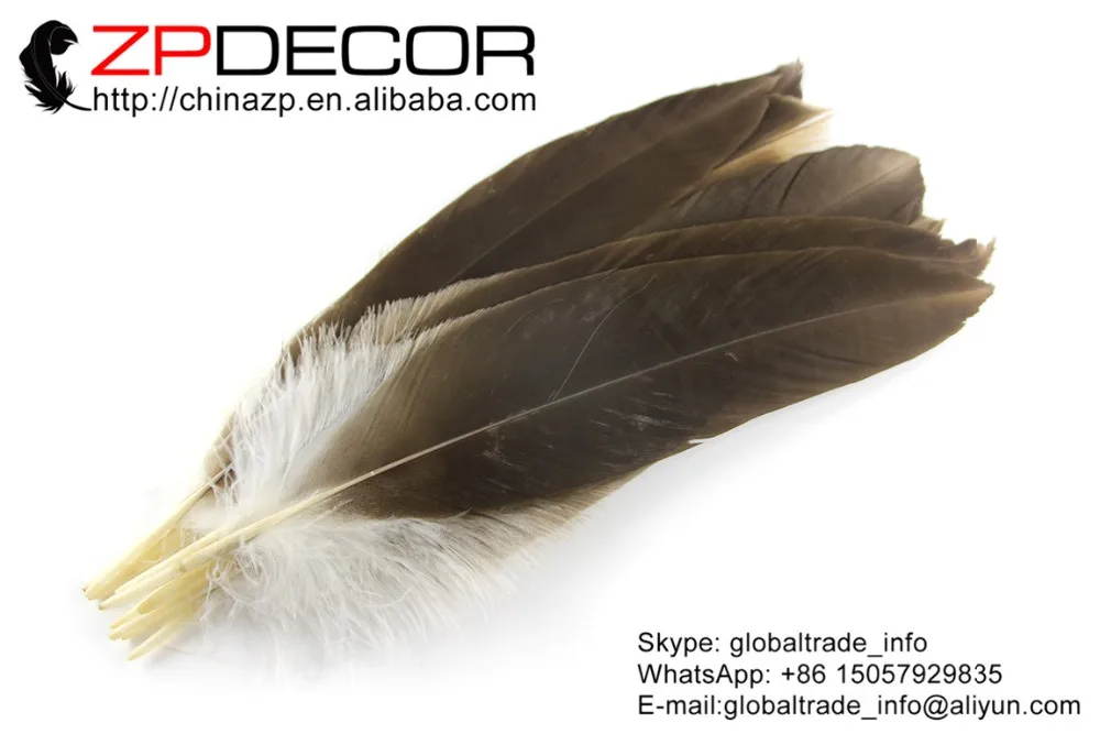 ZPDECOR перо 50 шт./лот 30 40 см (12 16 дюймов) ручной выбор высокое качество редкие и