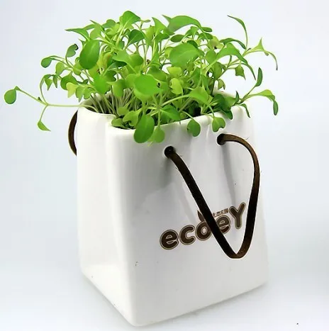 Mini Maceta - Compra lotes baratos de Mini Maceta de China, vendedores