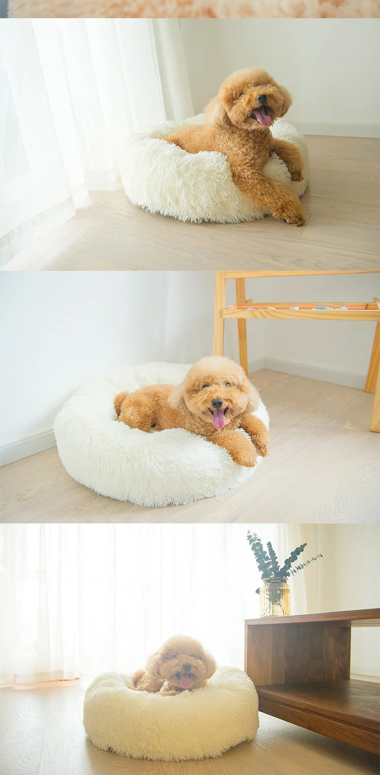 Luxury Dog Bed (2)