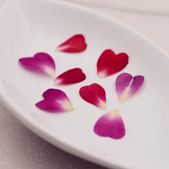 

20X china rose petals 1.5-2cm Natural Dried Flowers DIY Pressed Herbarium Flower Decorative Crafts glass globe filler findings