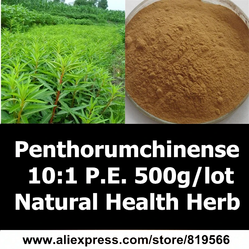 

Natural Penthorum Chinese Extract Powder 500g Health Care Herbal Penthorumchinese P.E. 10:1 Dietary Supplements