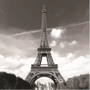 

Paris Eiffel Tower La Tour Eiffel Polyester Fabric Shower Curtain