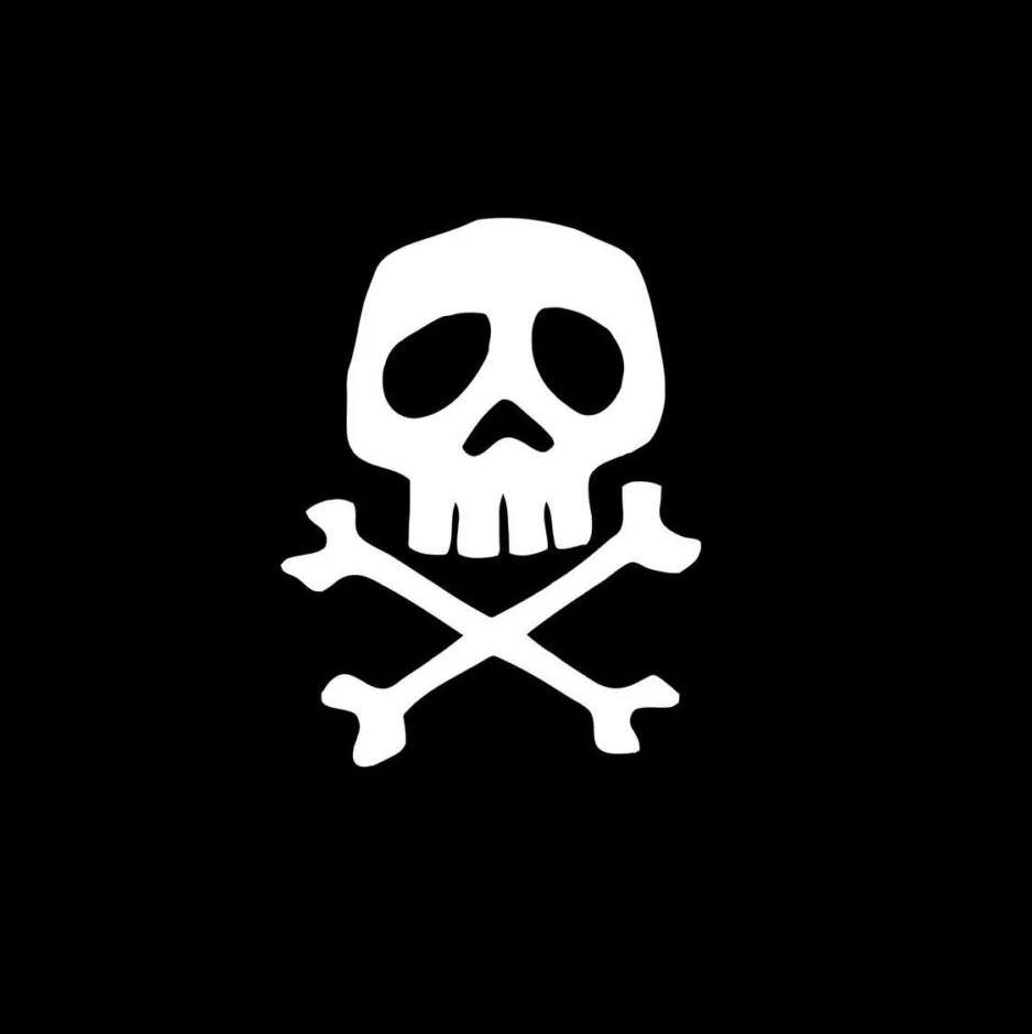 Captain Harlock Space Pirate Skull Decal Sticker Car Window Tall colore  bianco adesivi belli e fantastici - AliExpress, image size:938x939