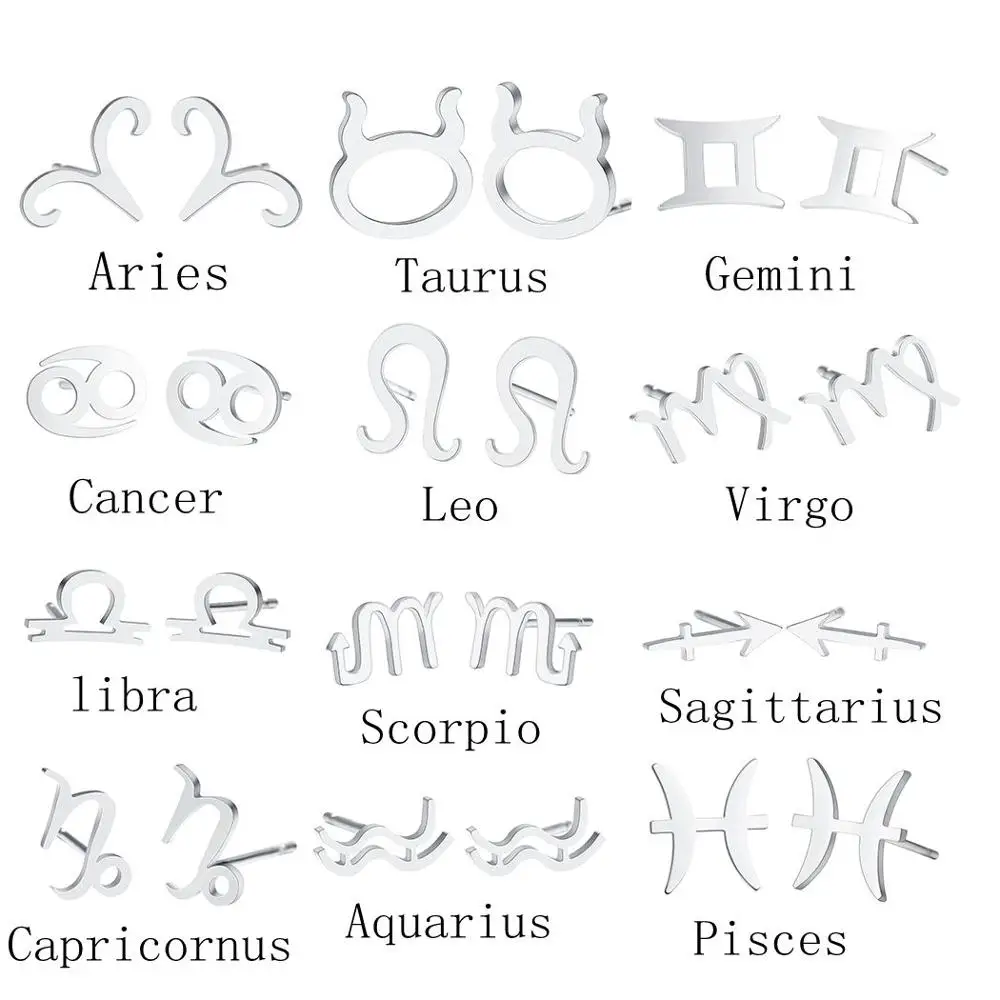 

QIAMNI Stainless Steel 12 Star Zodiac Sign Constellation Stud Earring Birthday Gift Women Men Horoscope Astrology Galaxy Jewelry