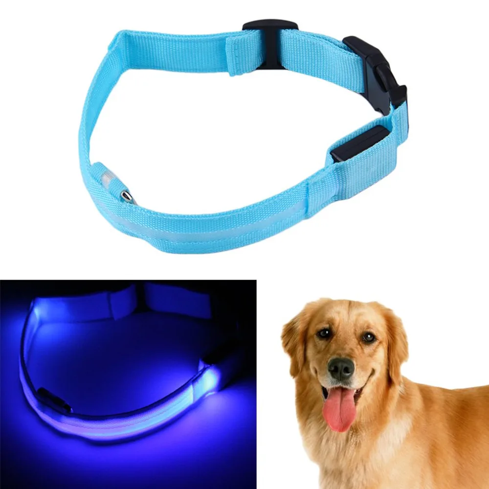 LED Dog Pet Night Safety Collar Flashing Light Up Collar Blue Nylon