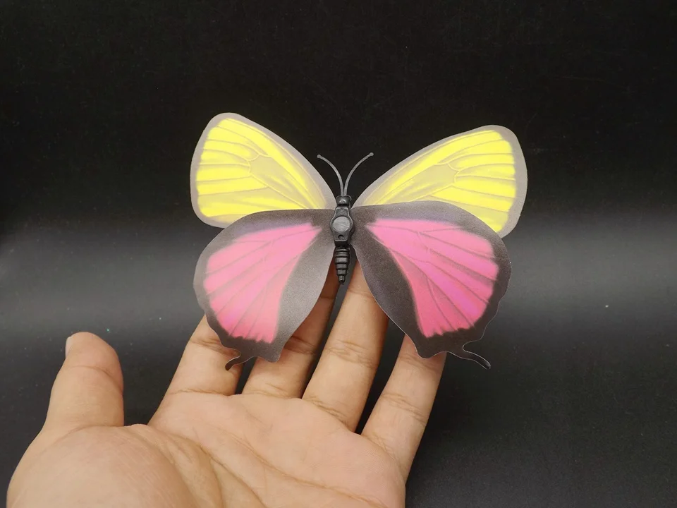 I236-Butterfly (4)