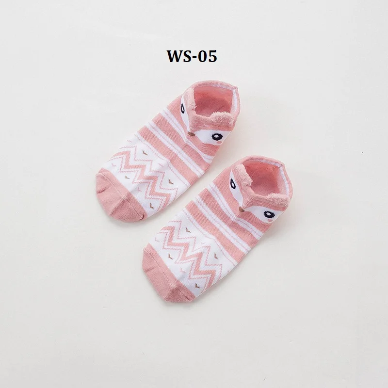 WS-05