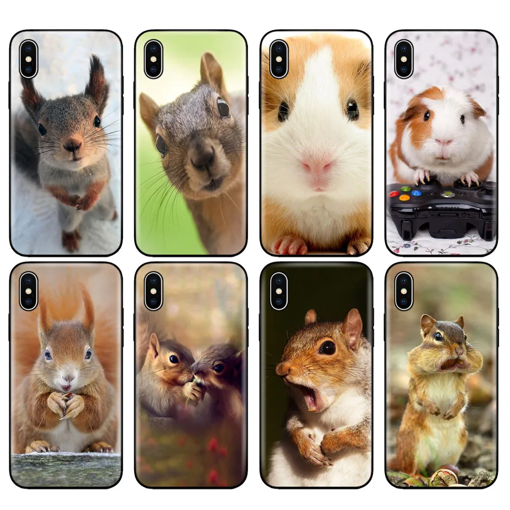 Custodia In Tpu Nero Per Iphone 5 5S Se 2020 6 6S 7 8 Plus X 10 Custodia Per Iphone Xr Xs 11 Pro Max Scoiattolo Cavia Mouse