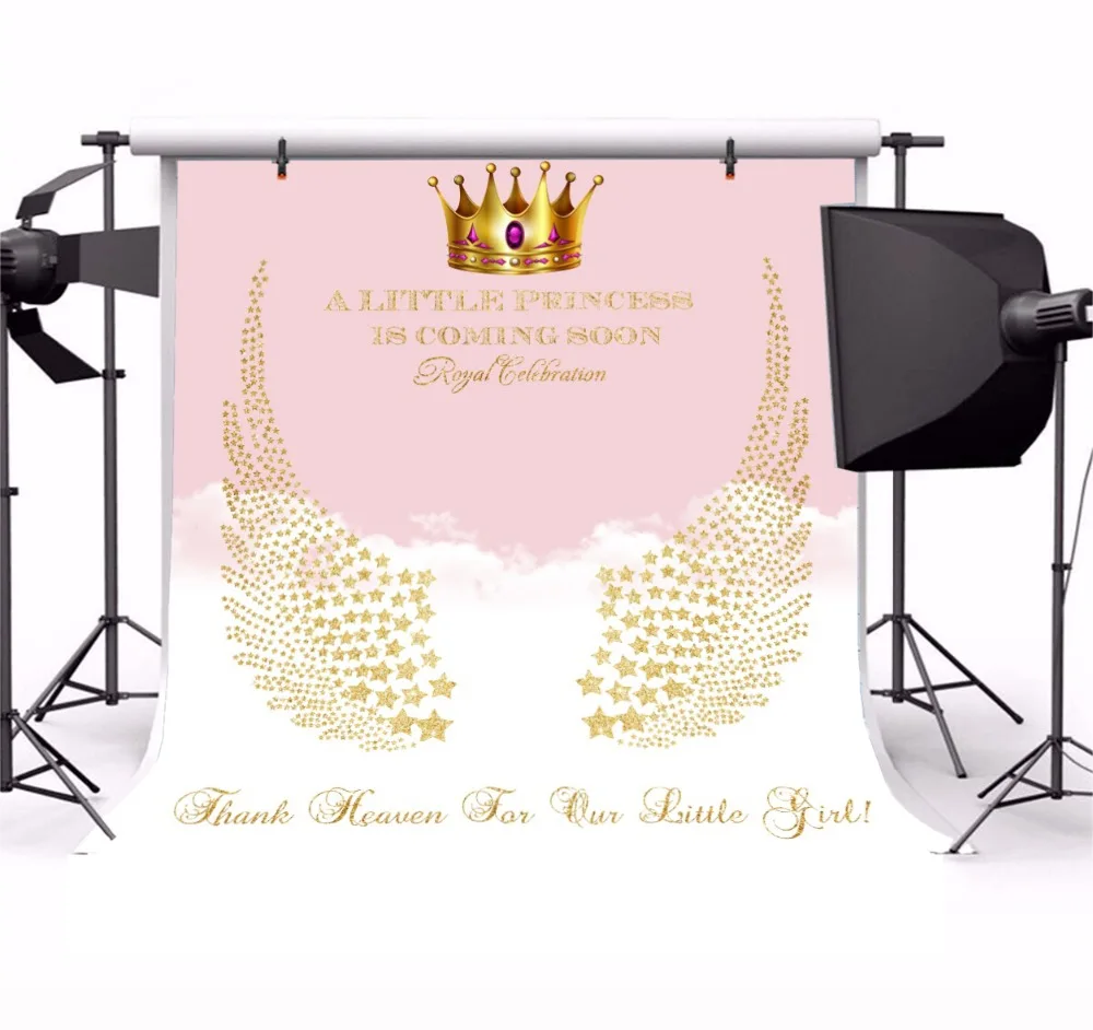 Laeacco Pink Baby Shower Backdrops For Photography A Little Princess Is Coming Soon Angel Wing Backgrounds Photocall Photo Stuio