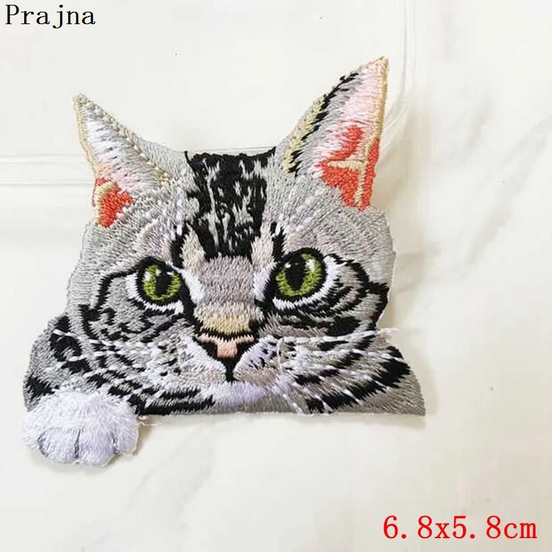 PE1677CT
