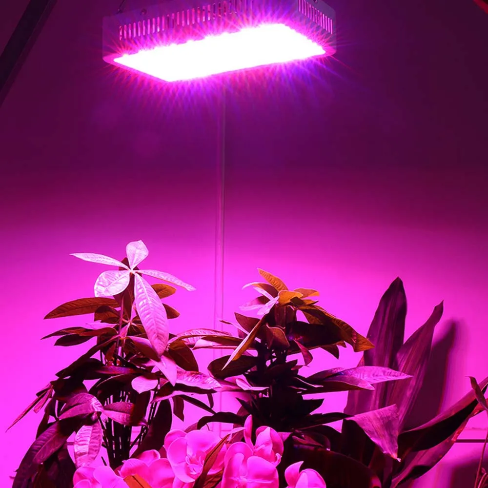 

85-265V Full Spectrum LED Grow Light Plant Grow Light Lamp LED For Plants Aquarium Hydroponics Lamp 600W 900W AU/US/EU/UK Plug