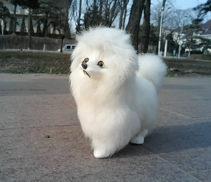 

simulation animal toy poodle dog plush toy 16x15x7cm Photography props home decoration Christmas gift toy w5440