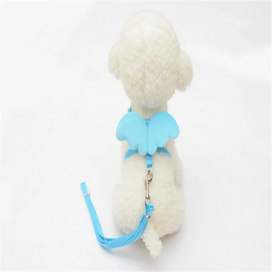 

Cute Angel Pet Dog Leashes and Collars Set Puppy Leads for Small Dogs Cats Designer Wing Adjustable Dog Harness Purchasing &