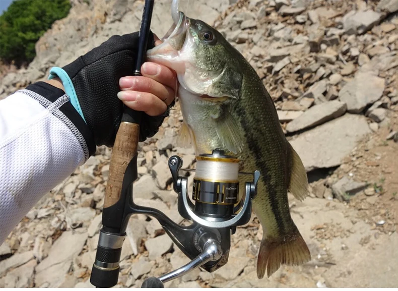 Molinete de Pesca 8 + 1 Tsurinoya Inoxidável Rasa Carretel Ultra-leve Rolamento Isca Fs800 1000 2000 17 Cheap Carretilhas de pesca
