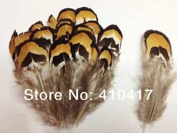 

500pcs 6-8cm Natural Pheasant Plumage Feathers Jewelry Making Free Shipping