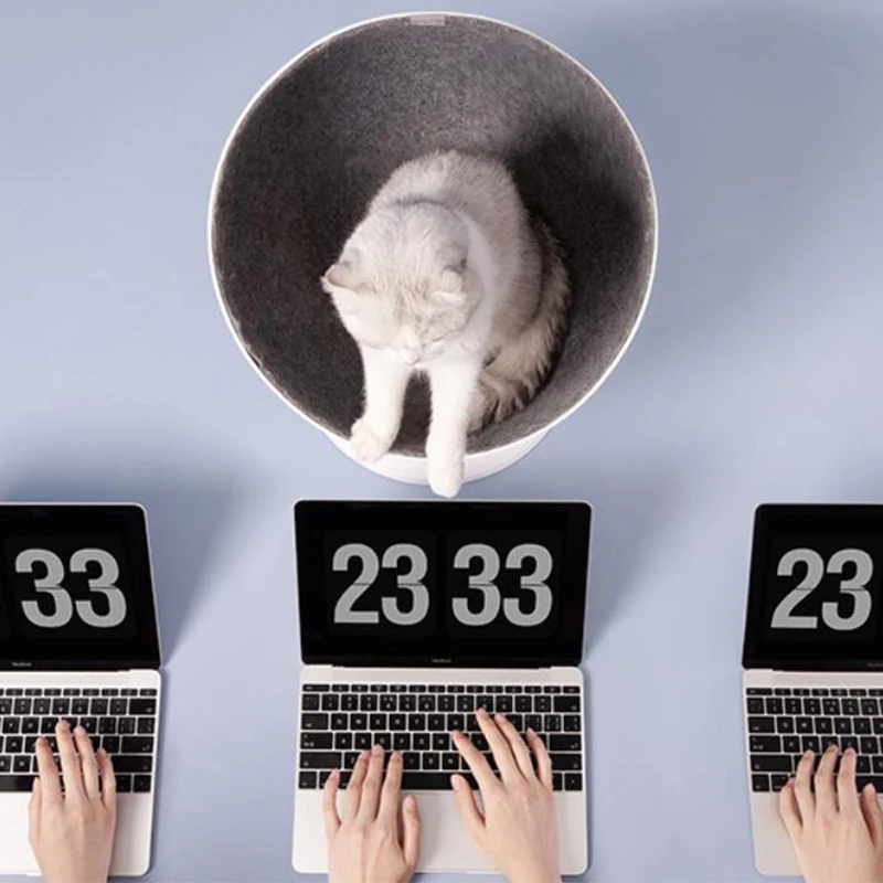 

Special cat house can be turned "chair" cat boss High quality Easy to clean Innovative design