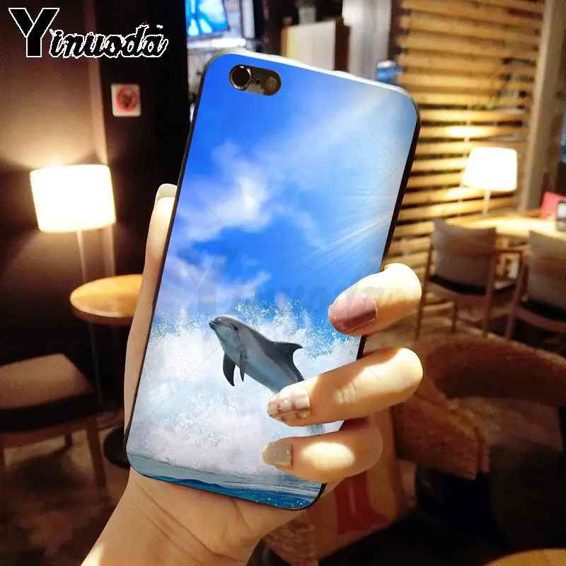 Dance Of Dolphin