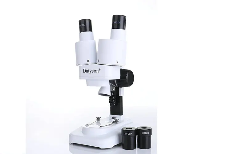 Datyson 20X 40X LED Binocular Stereo Microscope PCB Solder Tool Insect Plant Watch Students Science Educational