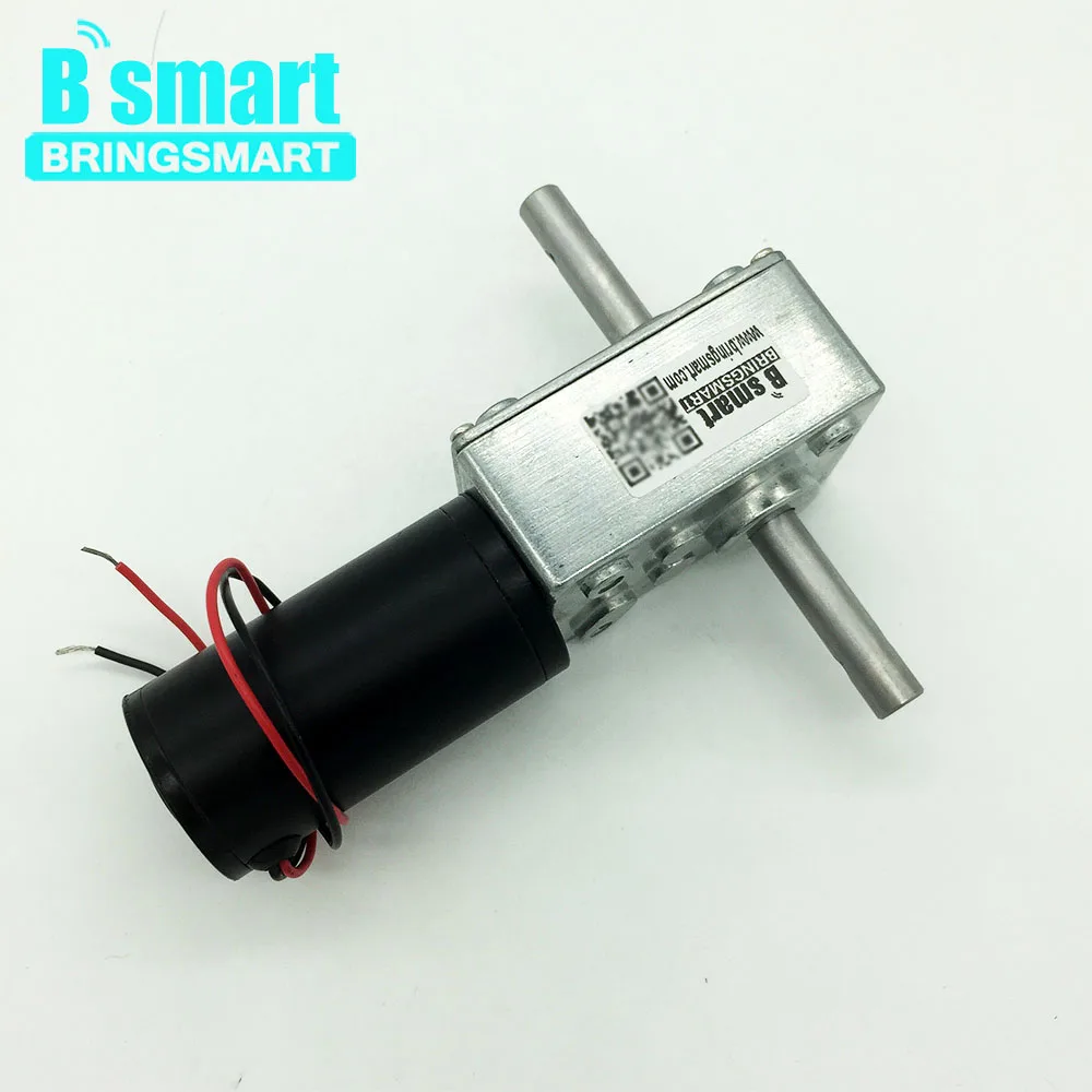 

Bringsmart 5840-31zy DC motor 12V Dual Shaft Worm Gear Motor 24V Reversed High Torque self-locking For Automatic Clothes Hanger