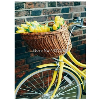 

Diamond Painting Bicycle tulips 5d diy diamond art Cross Stitch Fulll rhinestones 5d Diamond Mosaic Decor embroidery