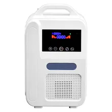 1L/Min 110V/220V Portable Home Oxygen Concentrator O2 Generators Air Purifier With Car Adapter MINI Oxygen Machine 1L/Min 110V/220V Portable Home Oxygen Concentrator O2 Generators Air Purifier With Car Adapter MINI Oxygen Machine
