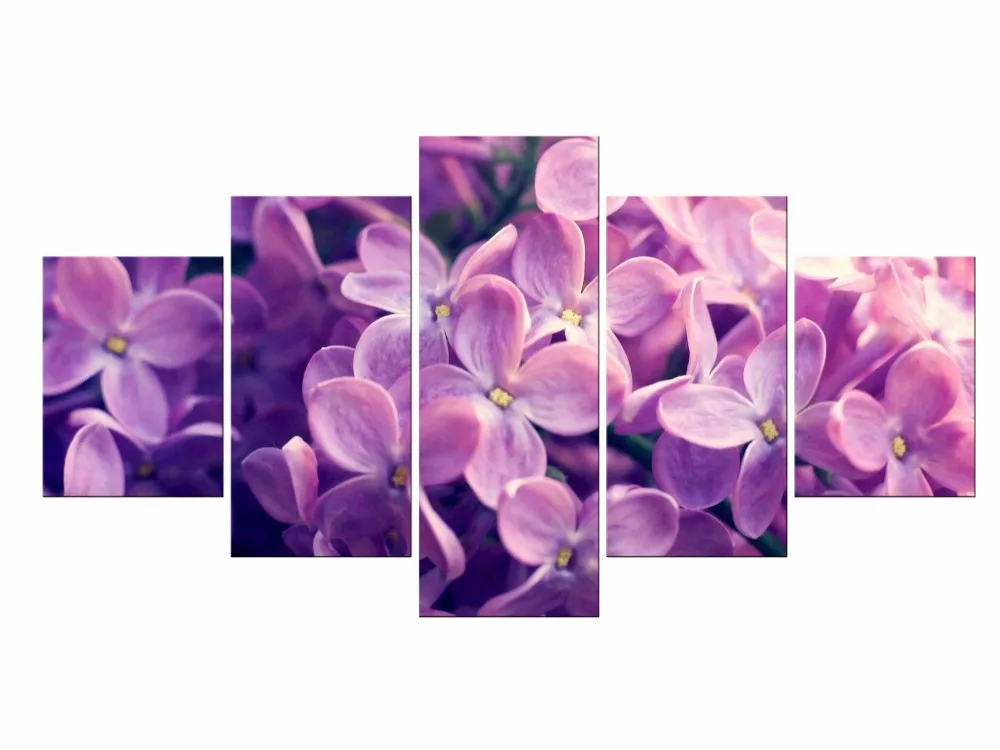 5 шт. декоративные картины на холсте Орхидея|orchids wall art|canvas printsart pictures |