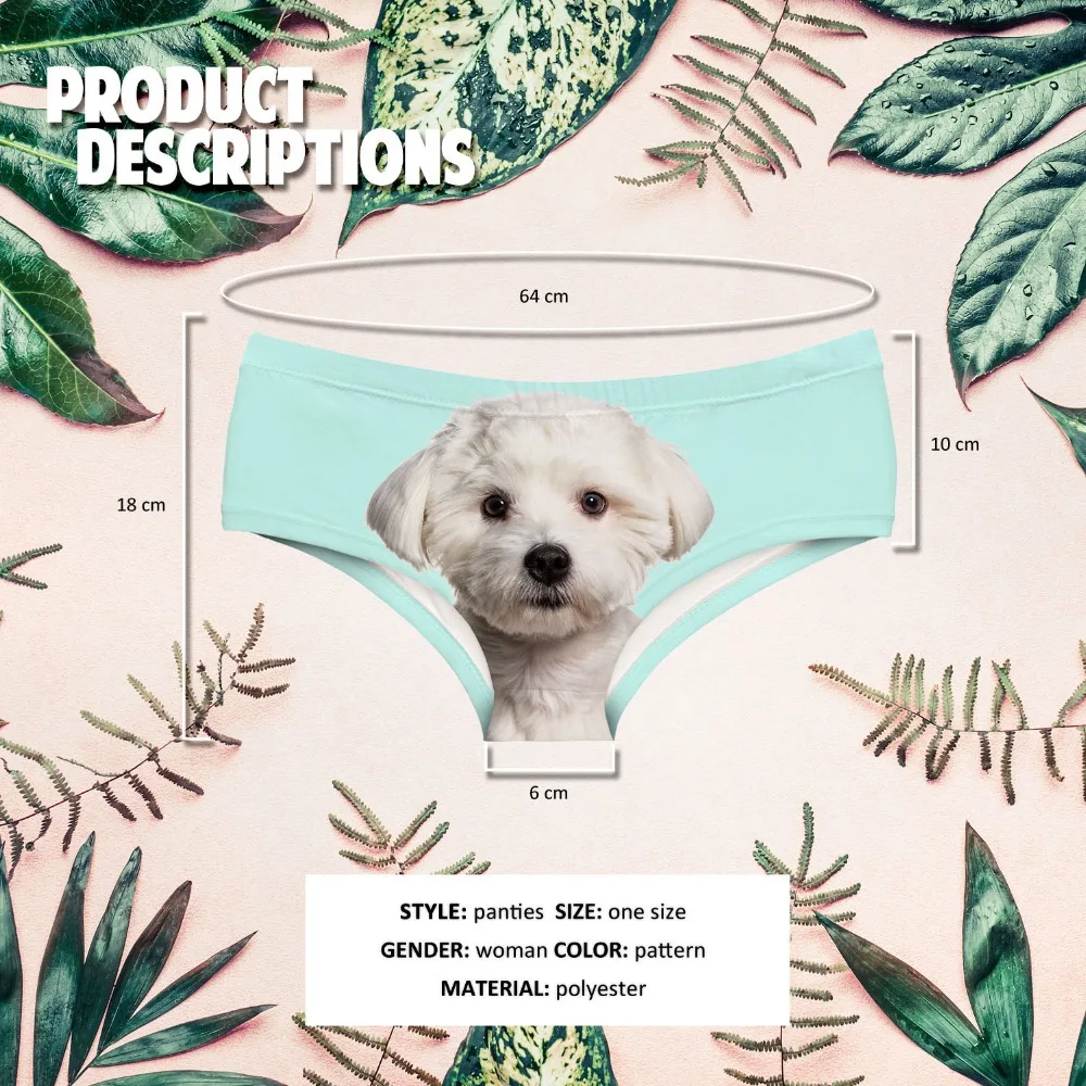 55057 white dog (00)