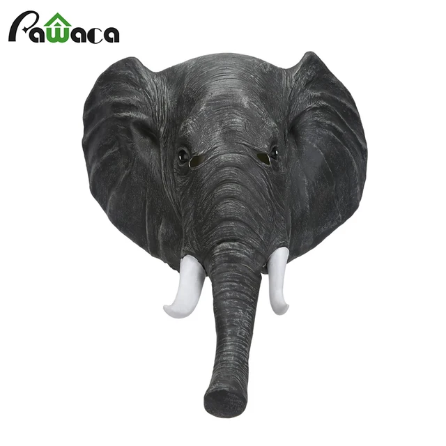 52 Gambar Wajah Gajah Paling Hist 52 Gambar Wajah Gajah Paling Hist