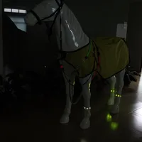 Horse Riding