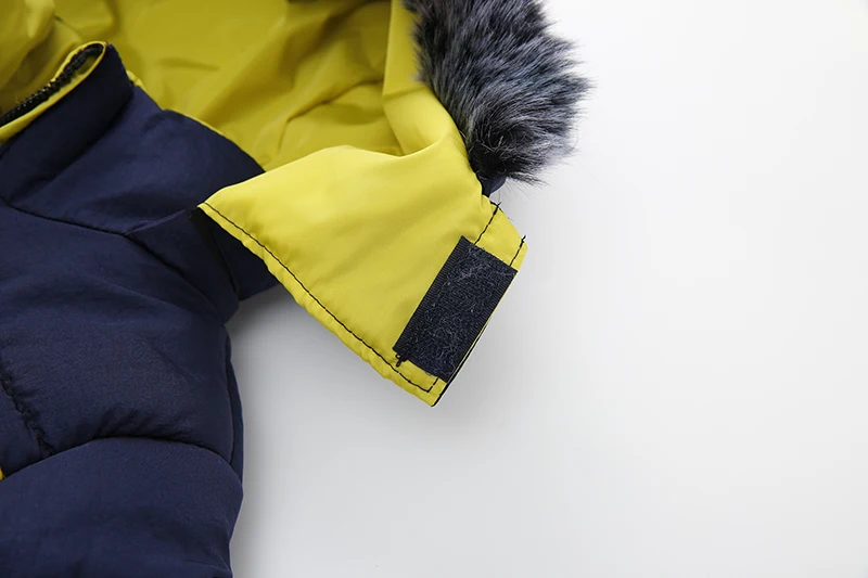 _54A2955